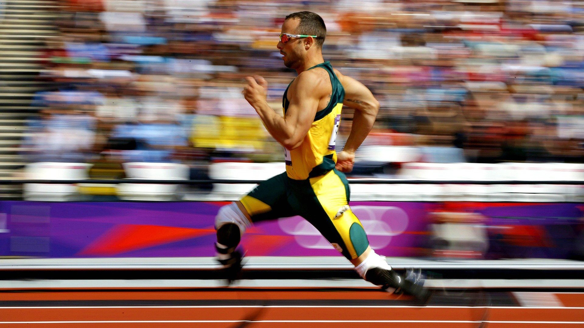 开云电竞中国-河北“速度王”：国人的赛车梦想，河北速翔赛鸽俱乐部